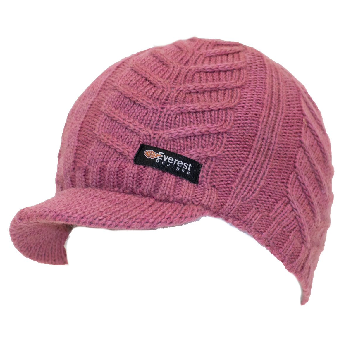 Chandra Visor
